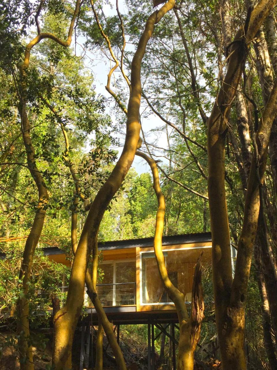 Hostal Ralun Patagonia Exterior foto